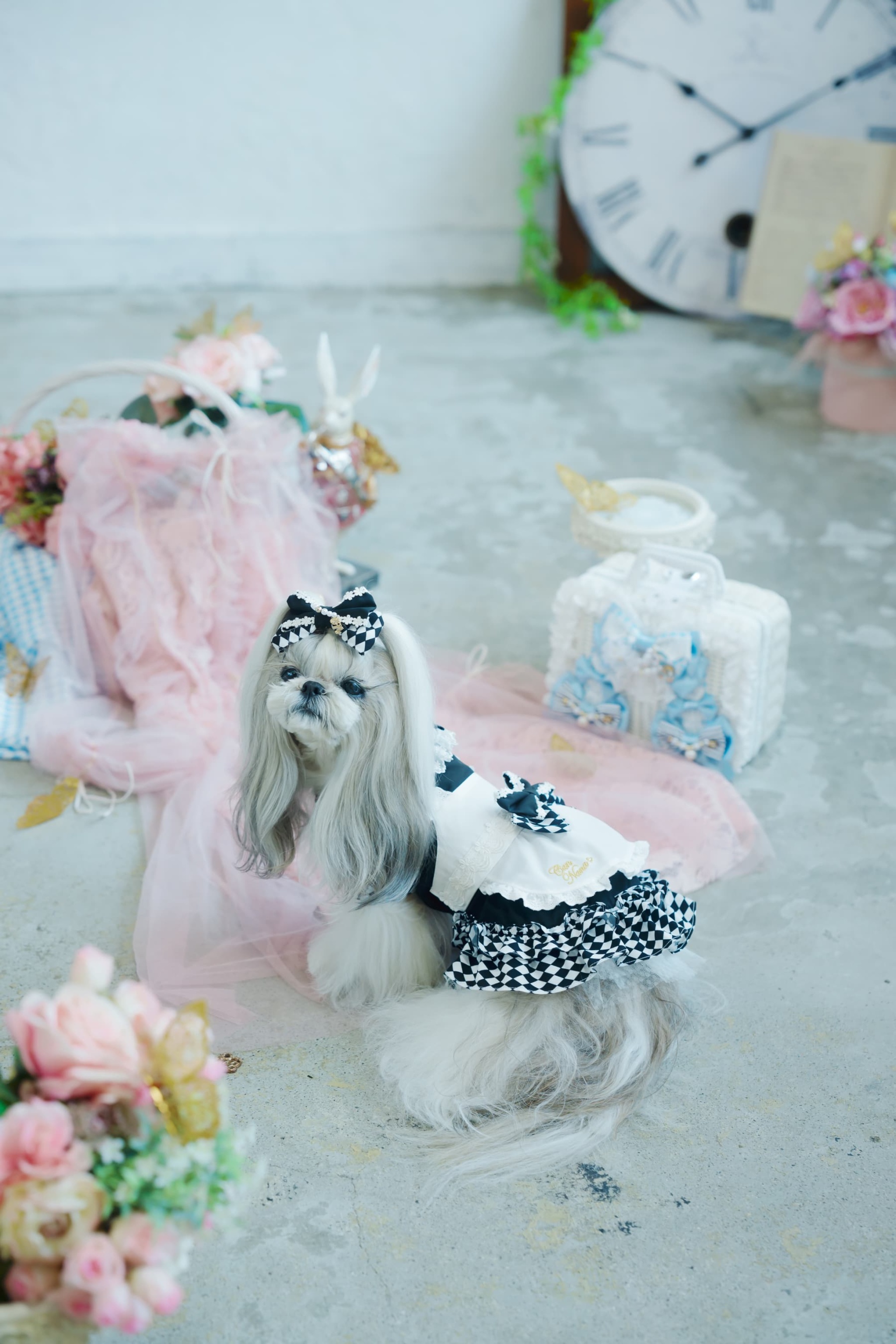 不思議の国のアリスワンピース