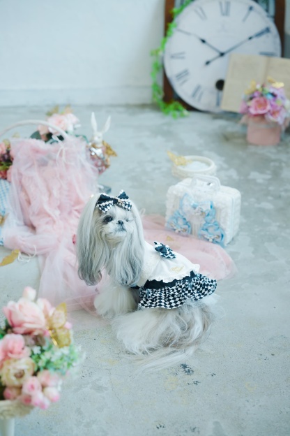 不思議の国のアリスワンピース