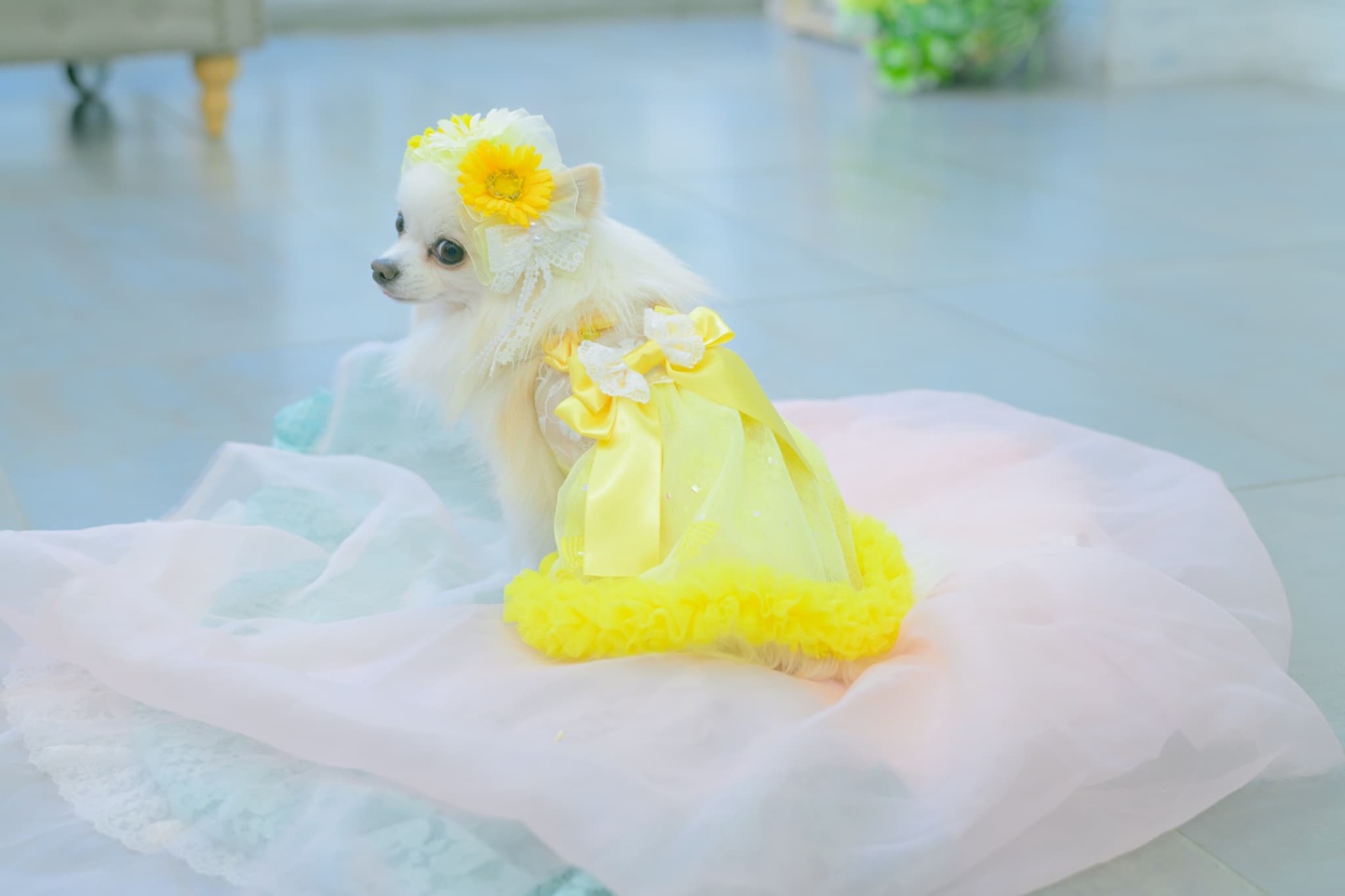 1178レース＆チュールキャミワンピース(リボンブローチ付き)