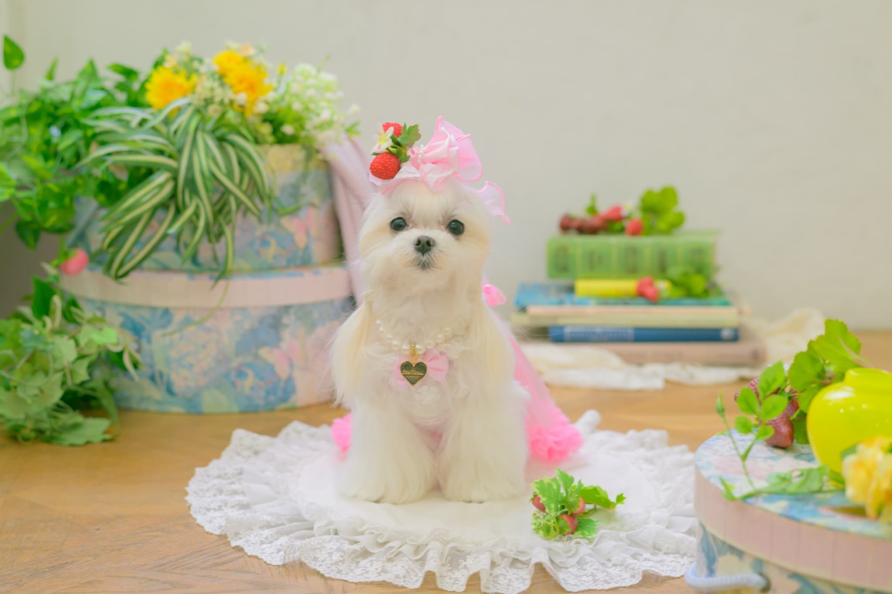 LB-330 フレッシュストロベリーバレッタリボン