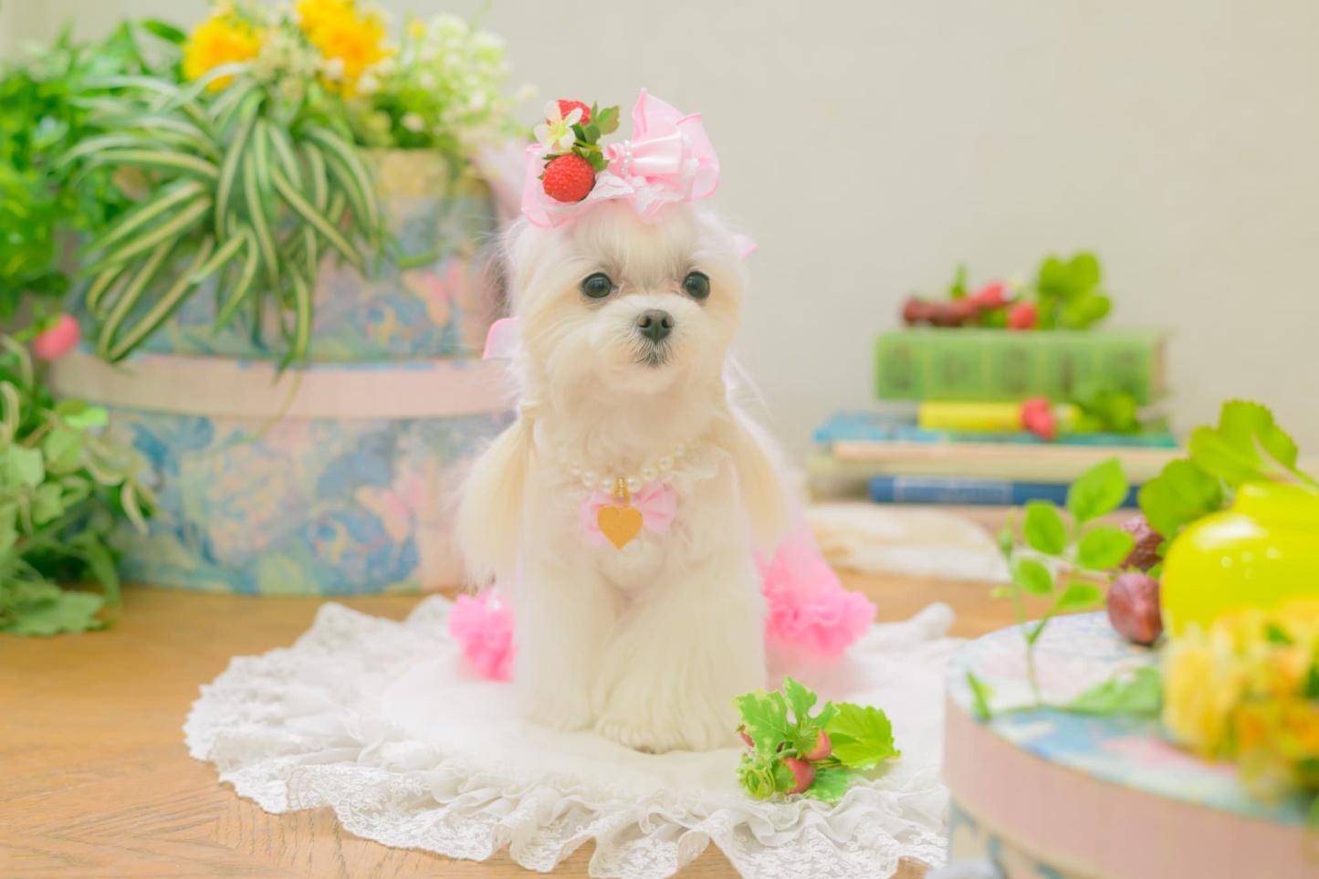 LB-330 フレッシュストロベリーバレッタリボン