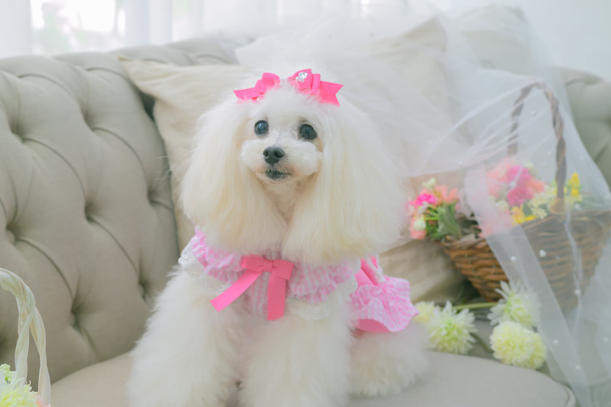 LB-1003 CanNanaミニ姫リボン