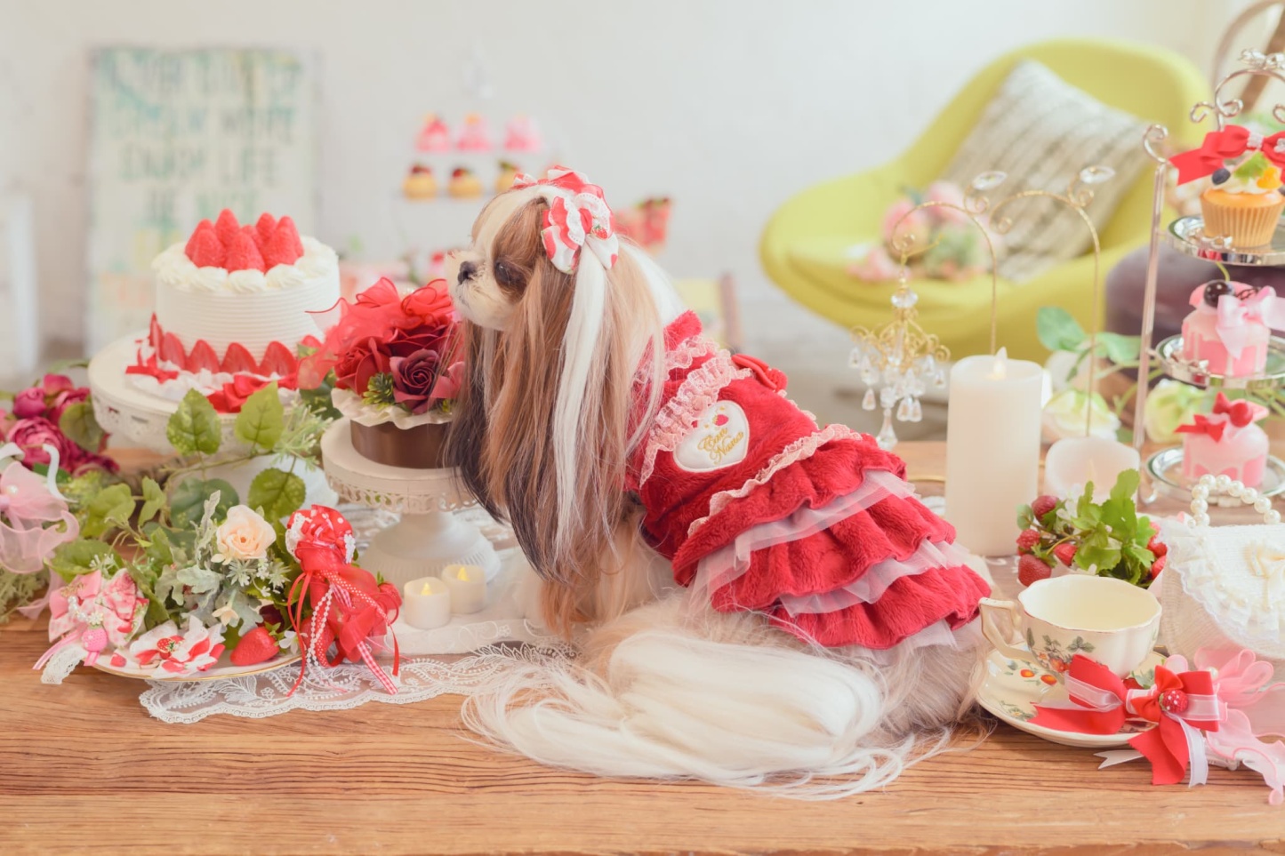 1169冬いちごデコレーションワンピース