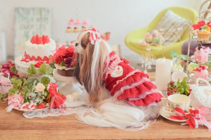 1169冬いちごデコレーションワンピース