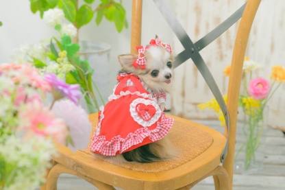 LB-328ハートギンガムバレッタリボン