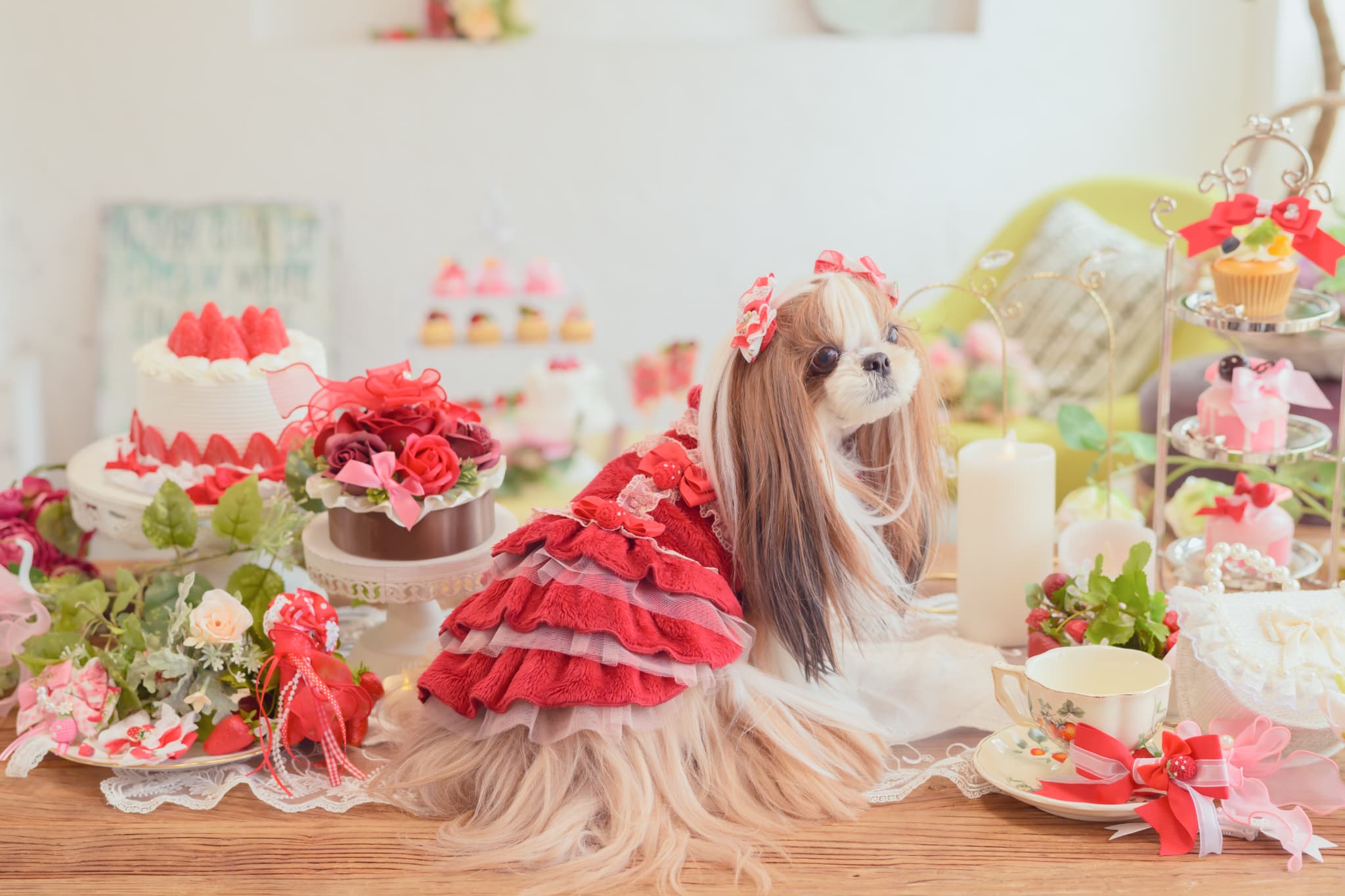 1169冬いちごデコレーションワンピース – 【公式】CanNana（きゃんナナ