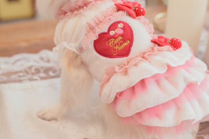 1169冬いちごデコレーションワンピース