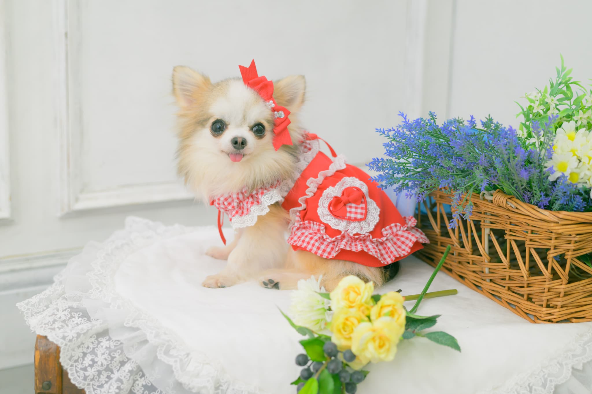 LB-1003 CanNanaミニ姫リボン