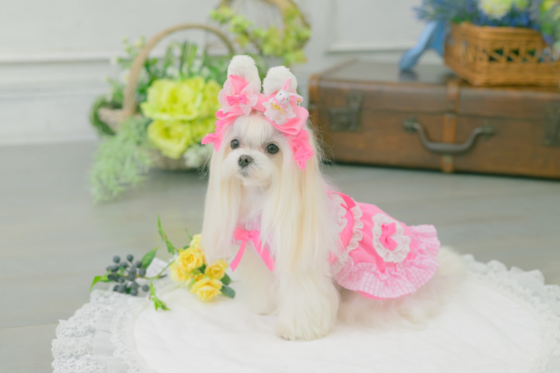 LB-327 うさぎデコカチューシャバレッタリボン