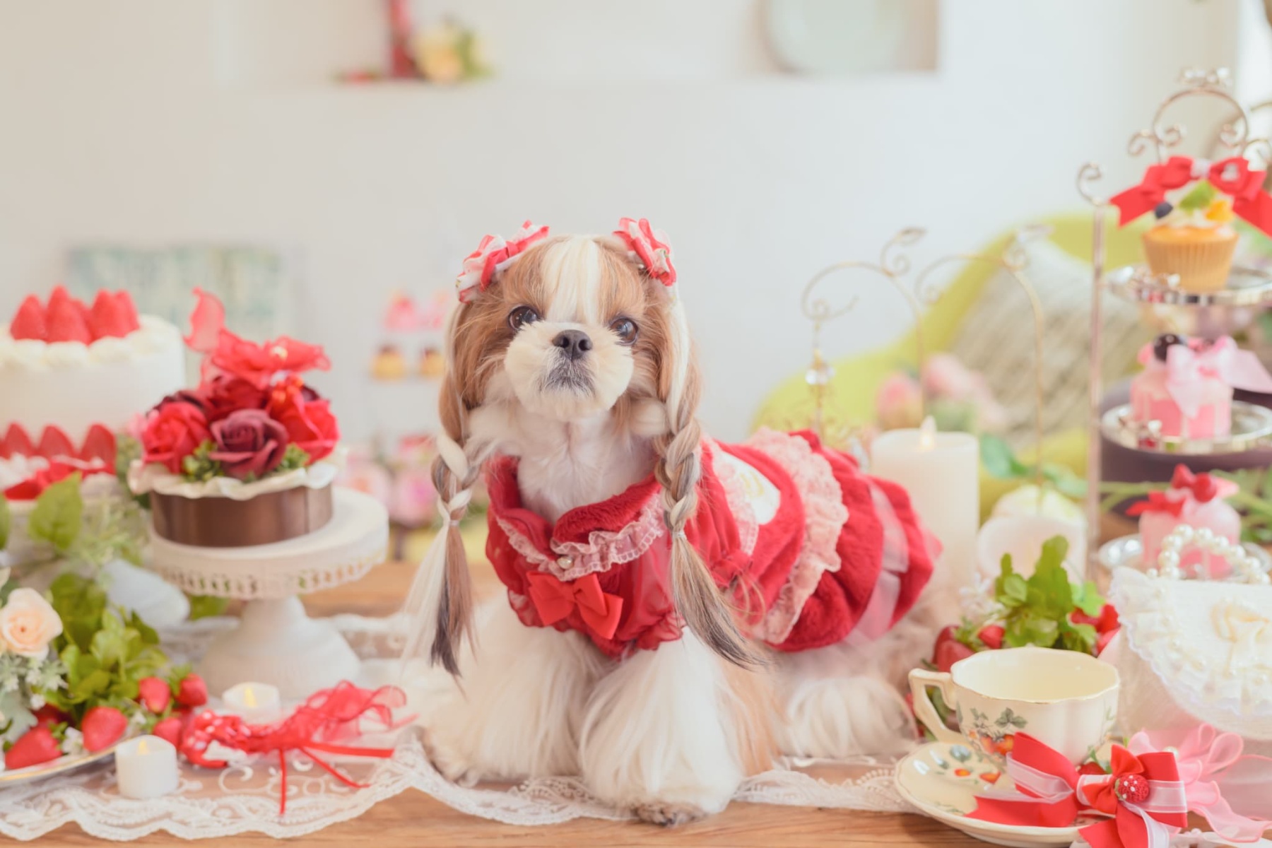 1169冬いちごデコレーションワンピース