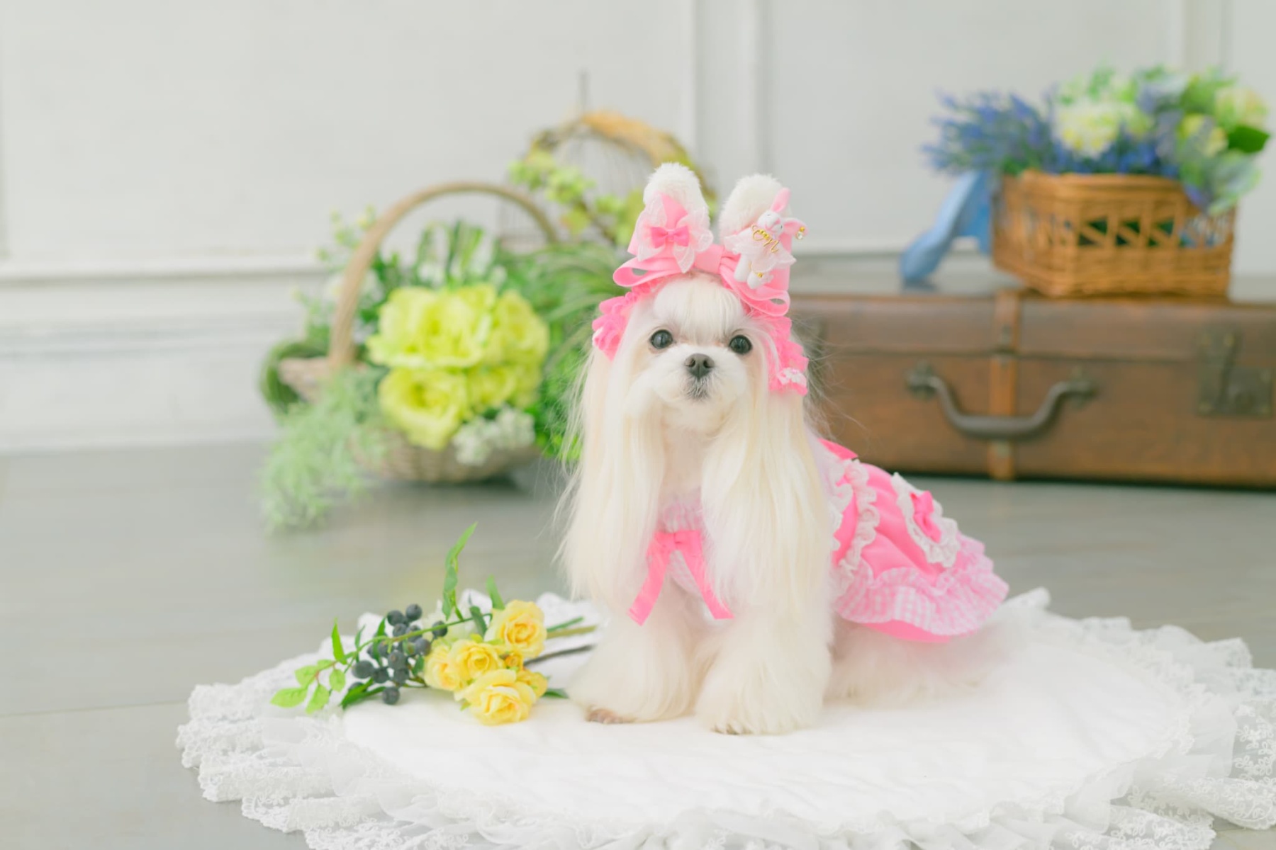 LB-327 うさぎデコカチューシャバレッタリボン