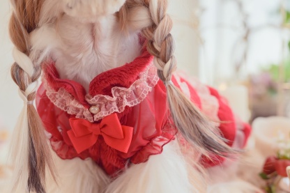 1169冬いちごデコレーションワンピース