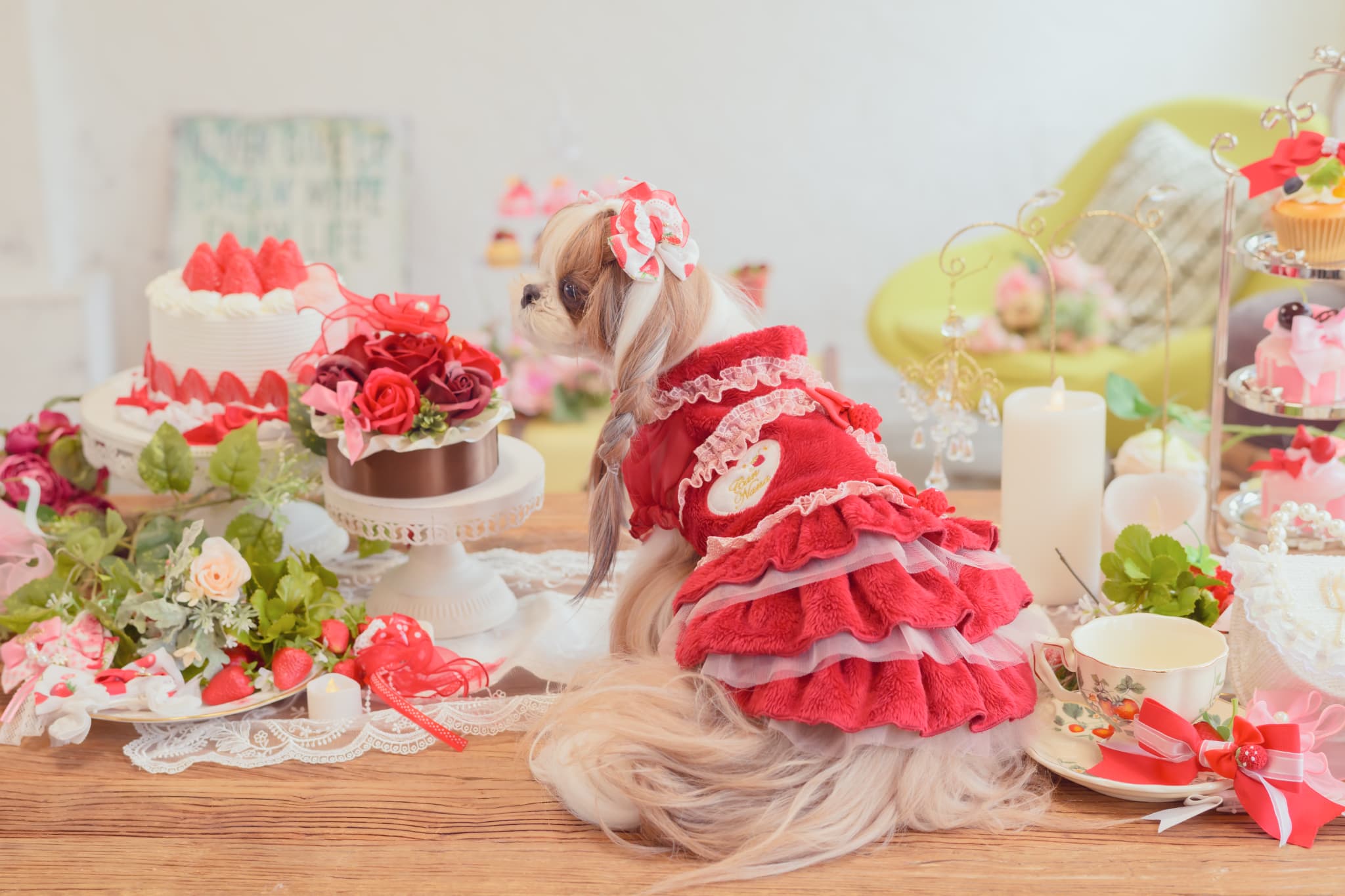 1169冬いちごデコレーションワンピース