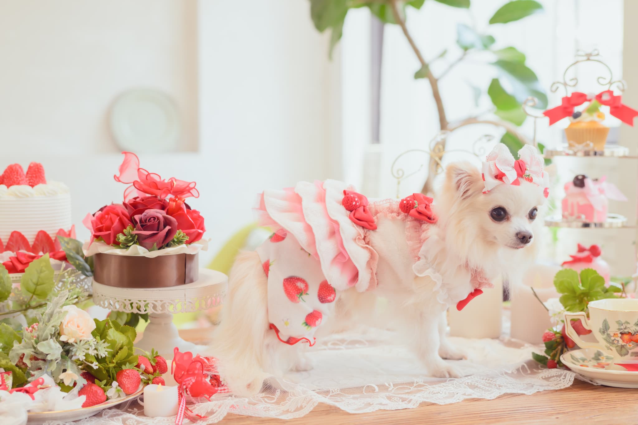 1170かぶってはける いちごパンツ