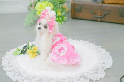 1177 ハートギンガムワンピース