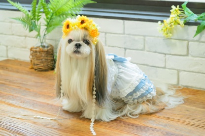 ダブルひまわりヘッドドレス