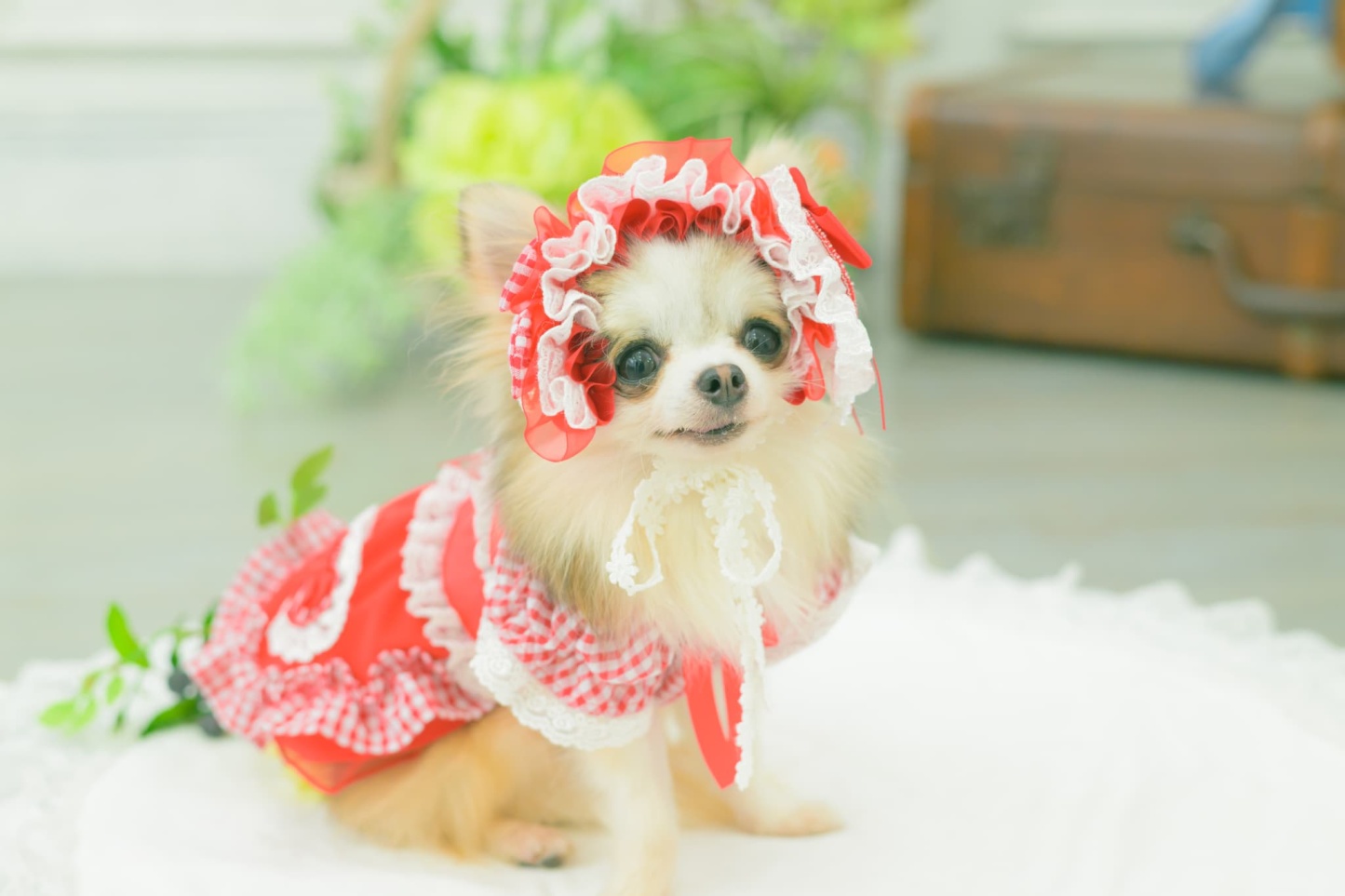 HD-034 ハートギンガムヘッドドレス