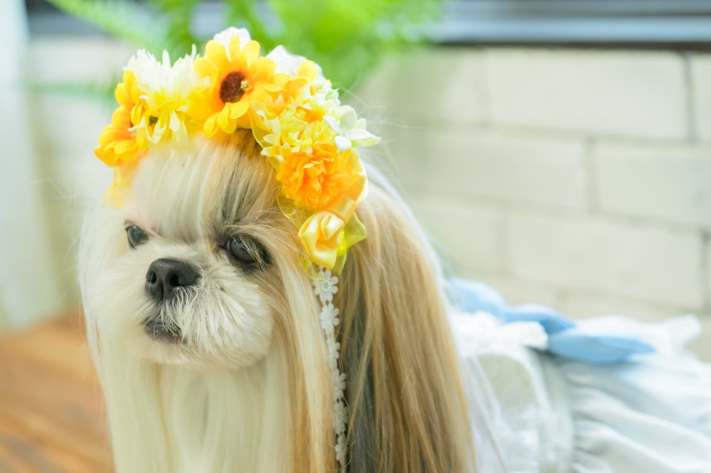 ダブルひまわりヘッドドレス