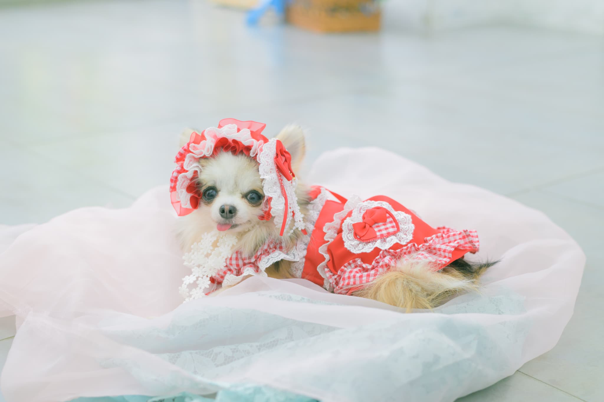 1177 ハートギンガムワンピース