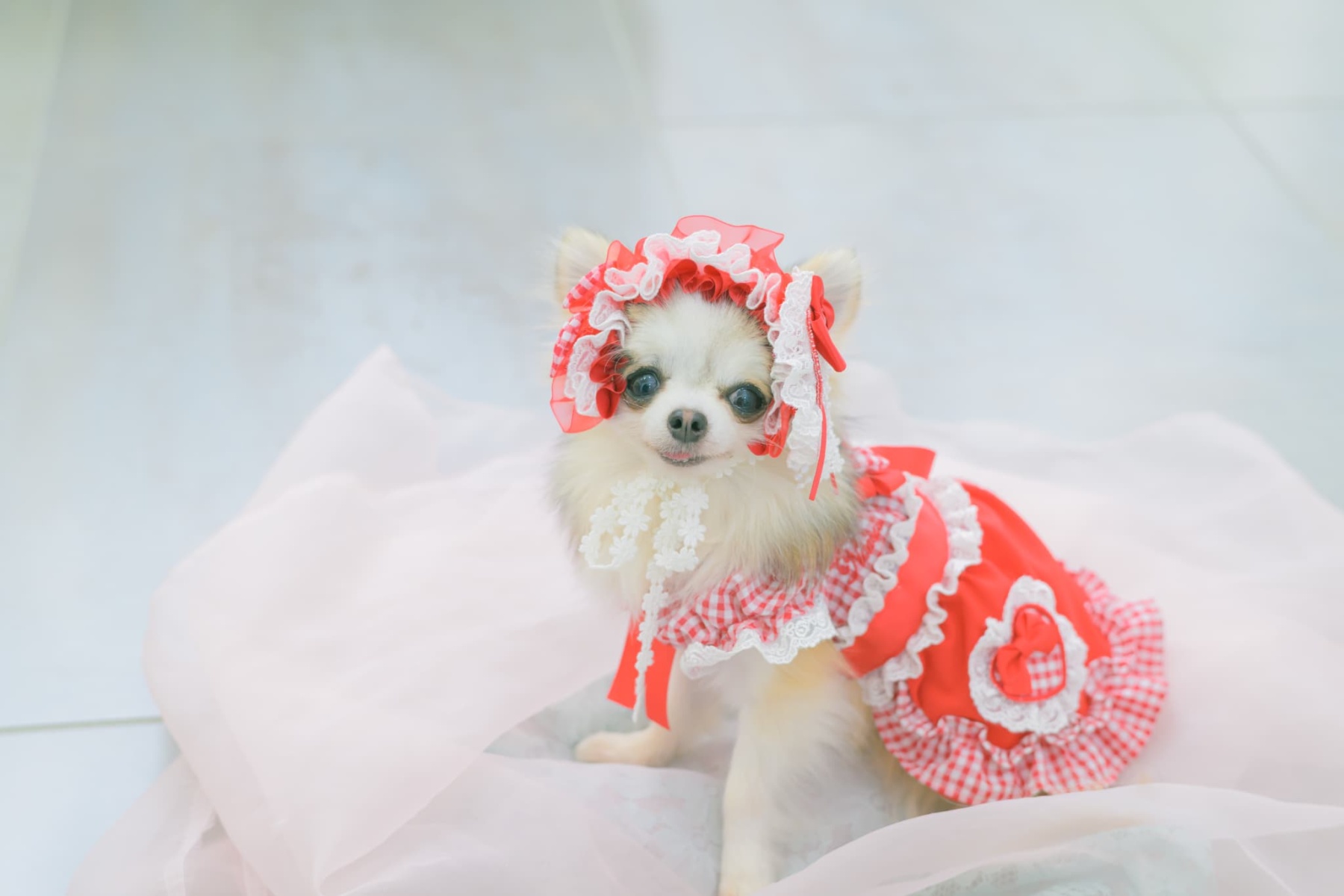 1177 ハートギンガムワンピース