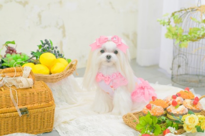 1180オリジナルスイーツ柄COOLワンピース