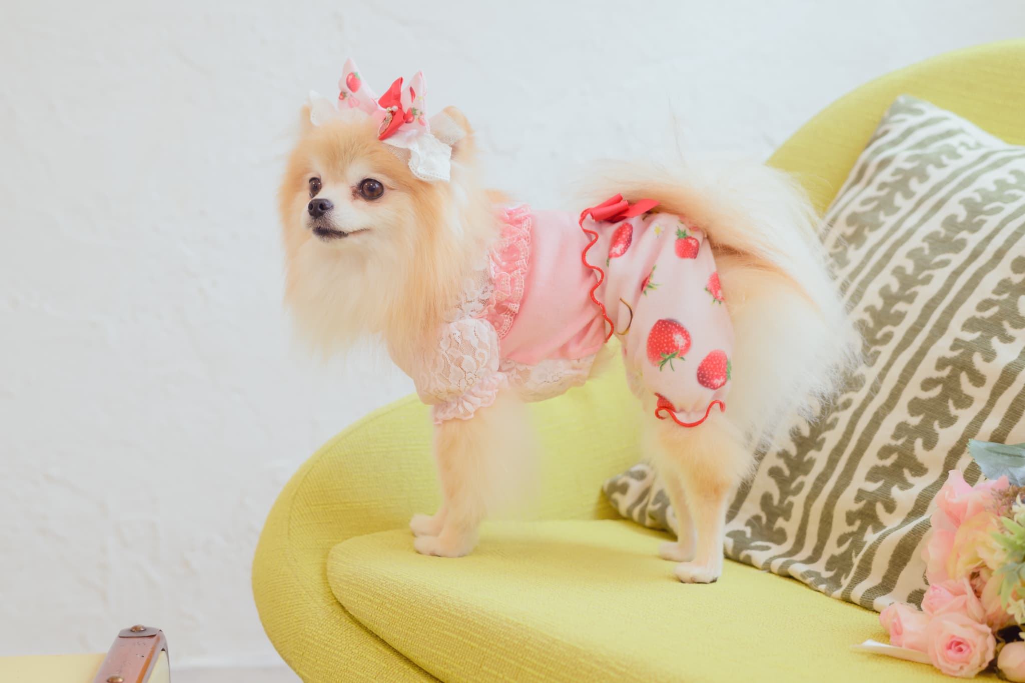 1170かぶってはける いちごパンツ