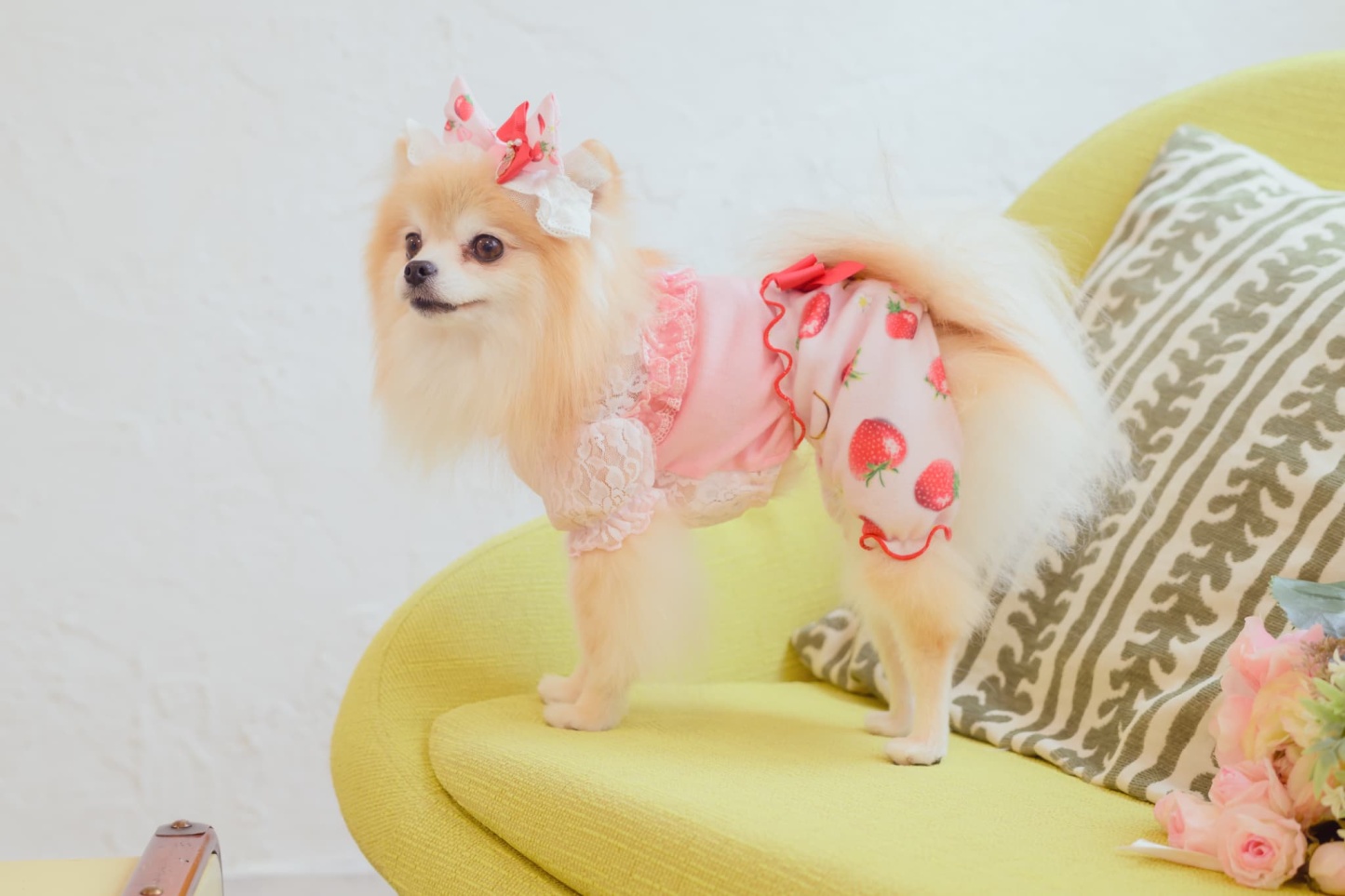 1170かぶってはける いちごパンツ