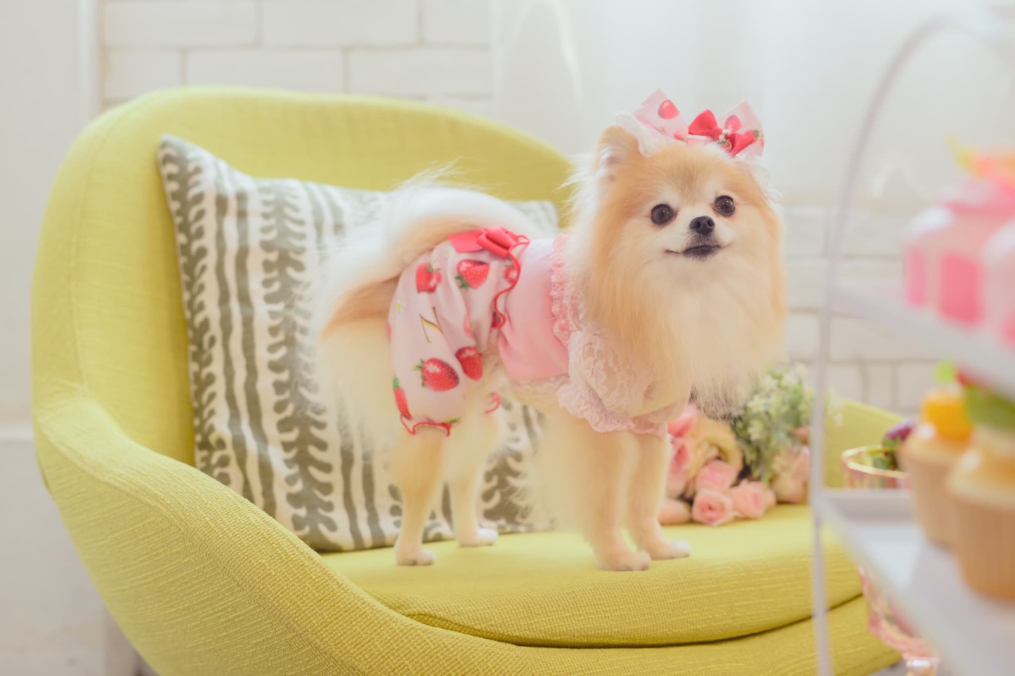 1170かぶってはける いちごパンツ