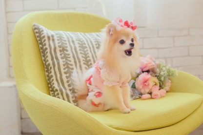 1170かぶってはける いちごパンツ