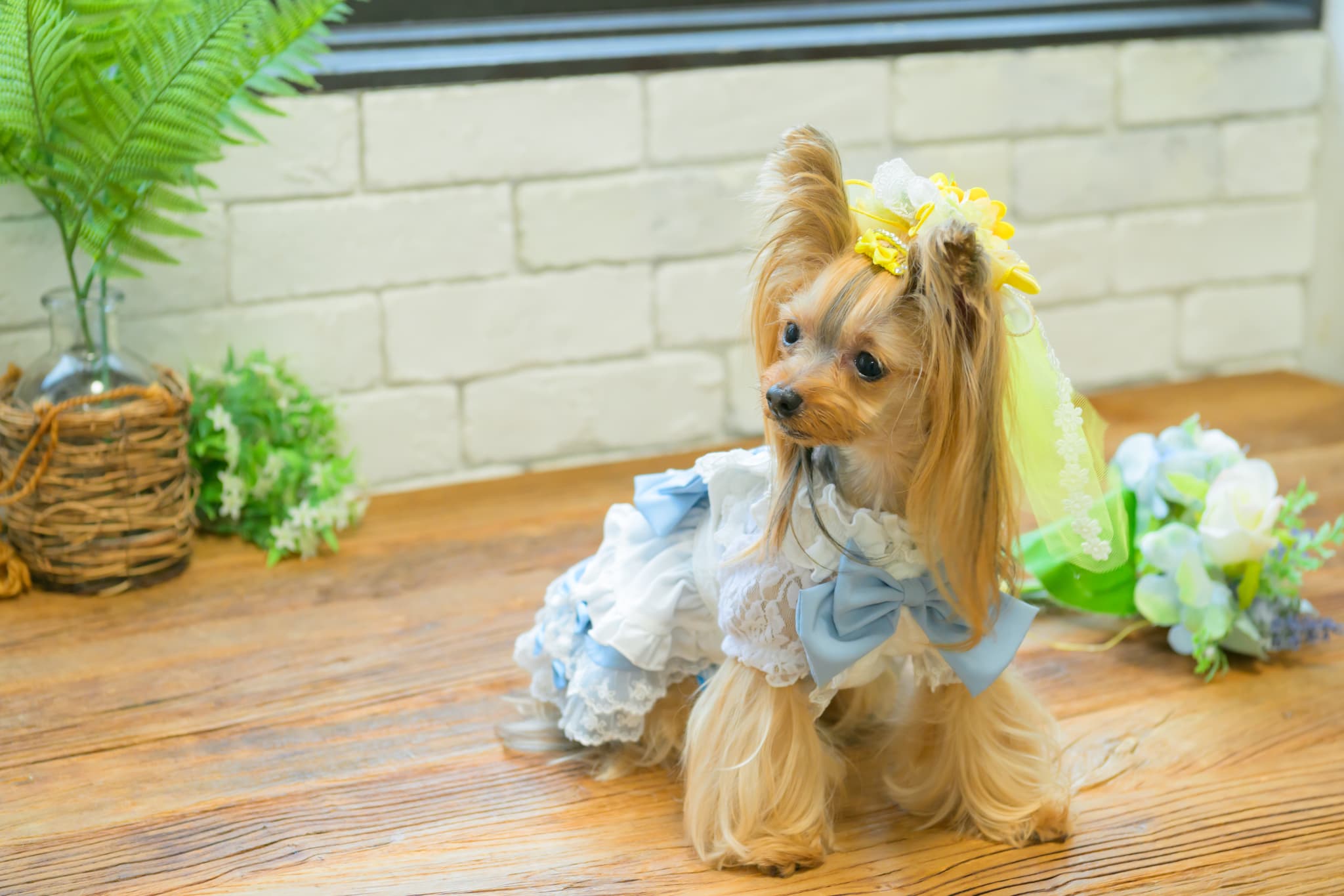 ひまわりベール風バレッタリボン