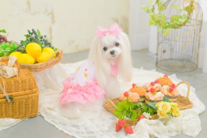 1180オリジナルスイーツ柄COOLワンピース