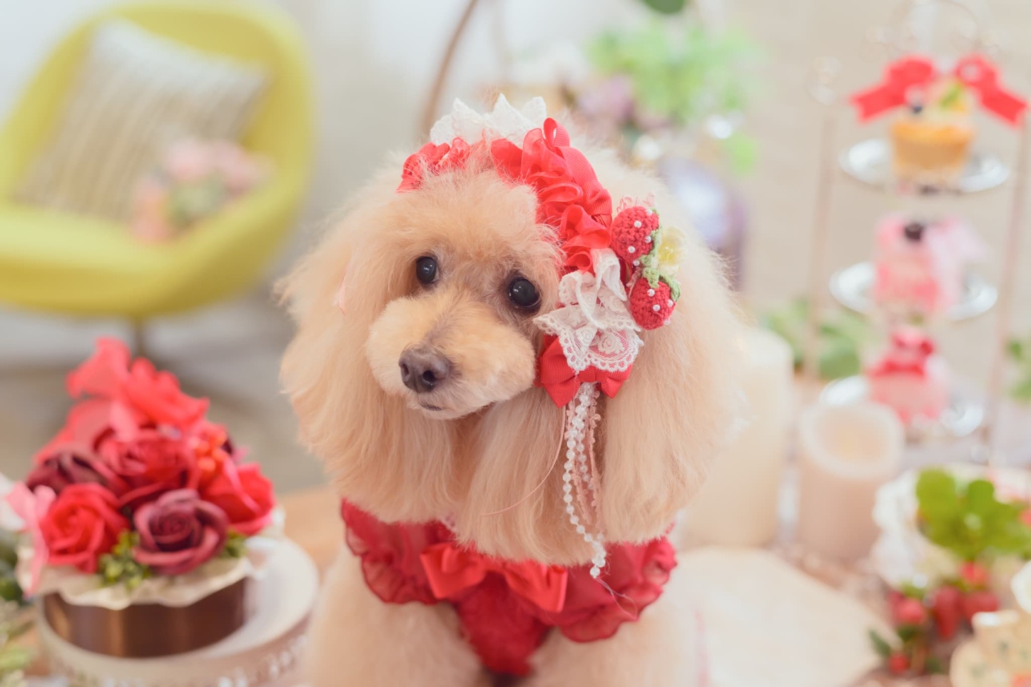 HD-032 いちごデコレーションヘッドドレス レッド