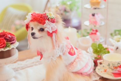 HD-032 いちごデコレーションヘッドドレス レッド