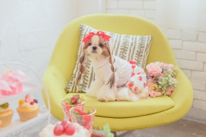 1170かぶってはける いちごパンツ