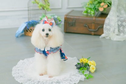 LB-333 ギンガム×チェリーバレッタリボン