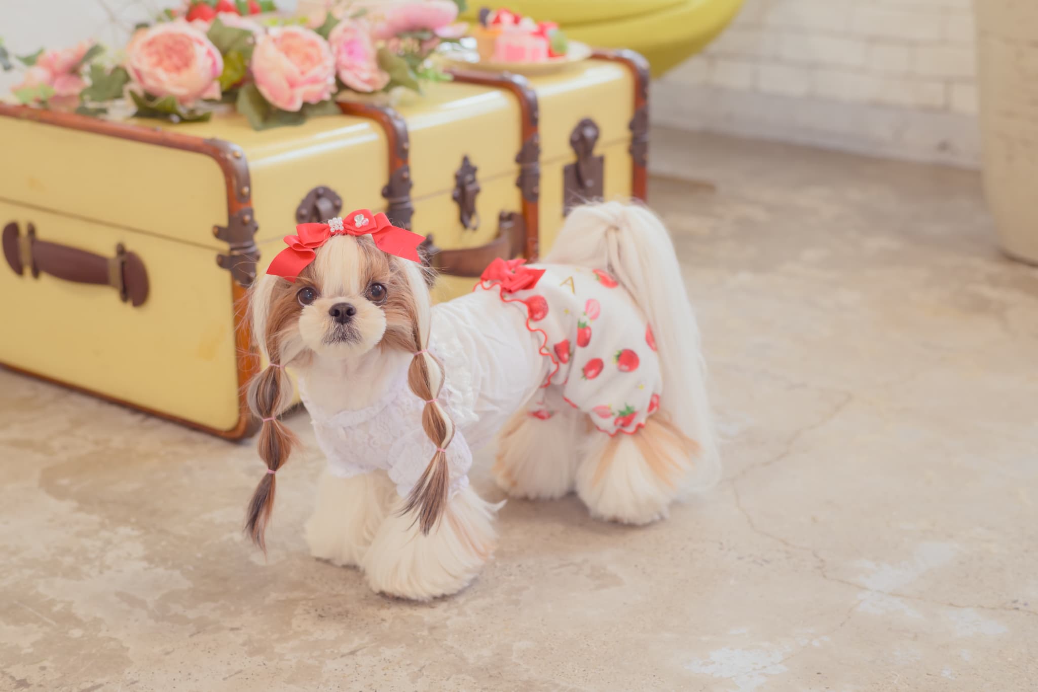 1170かぶってはける いちごパンツ