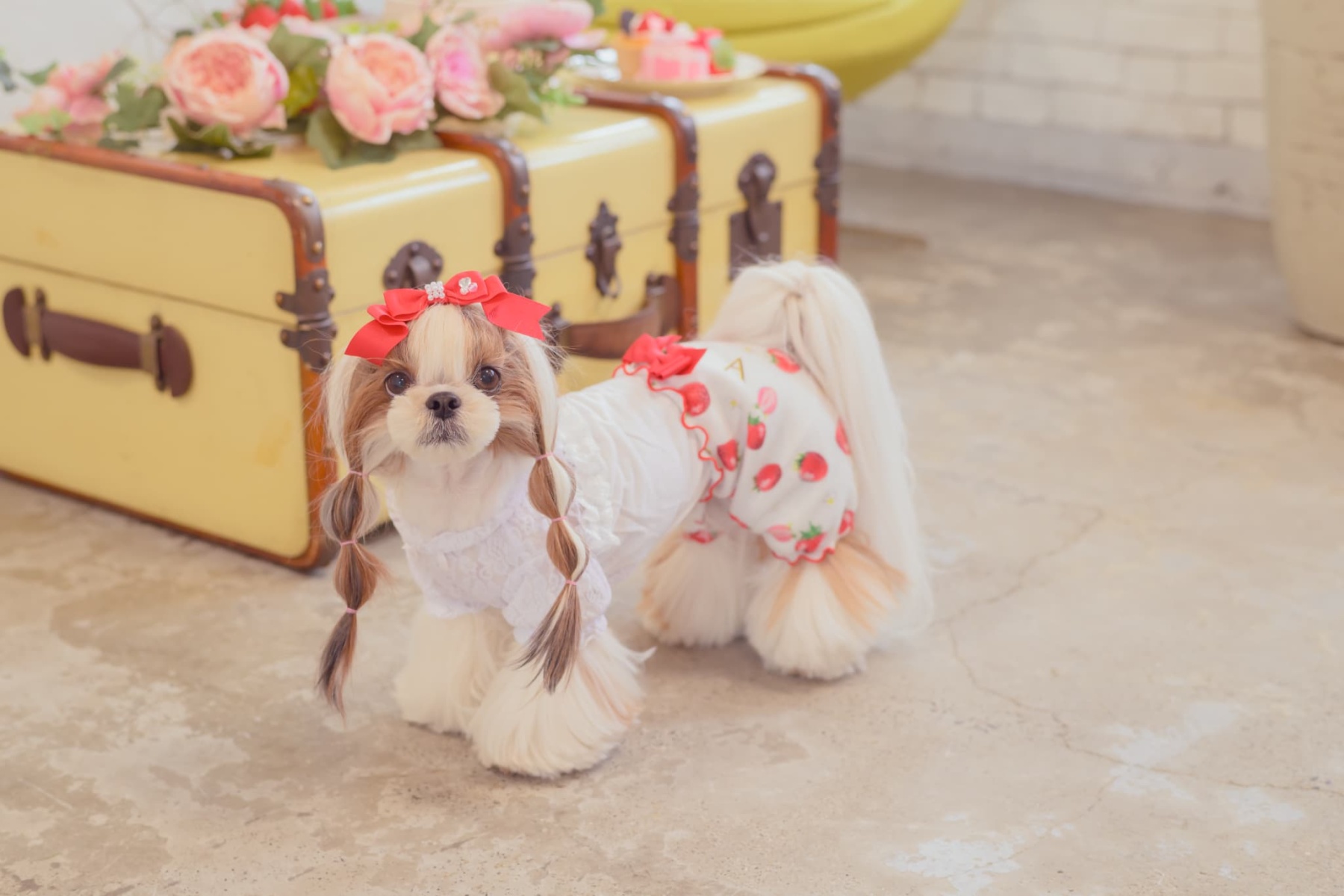 1170かぶってはける いちごパンツ