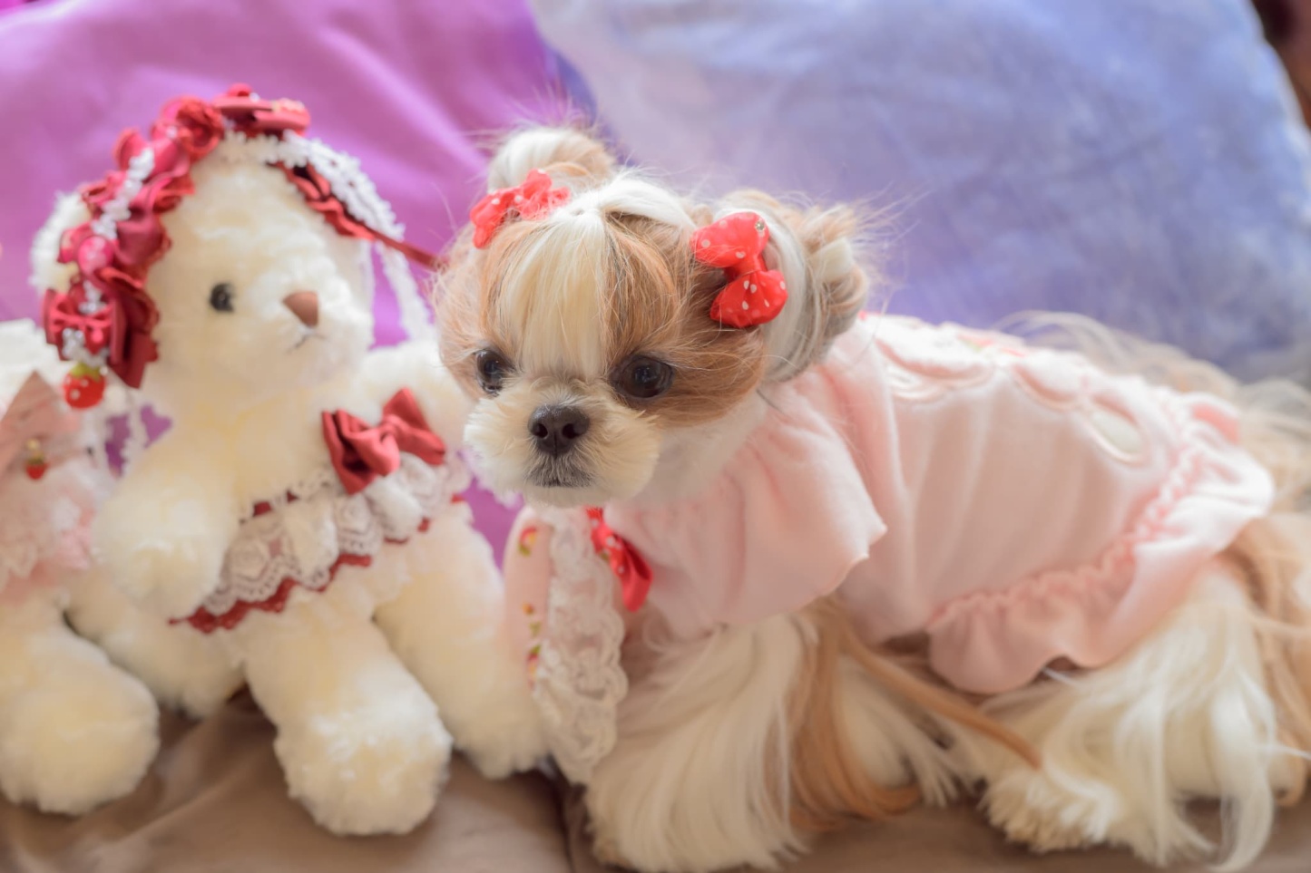 AC-046　水玉リボンコームパッチン