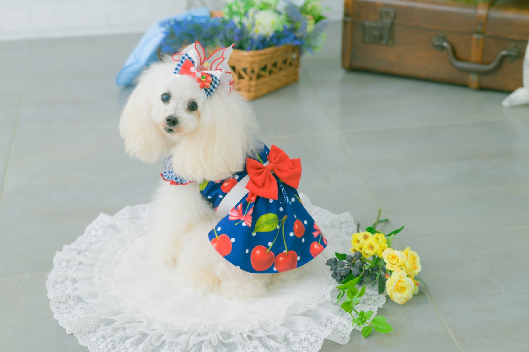 LB-333 ギンガム×チェリーバレッタリボン