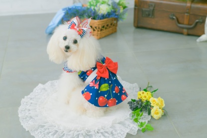 LB-333 ギンガム×チェリーバレッタリボン