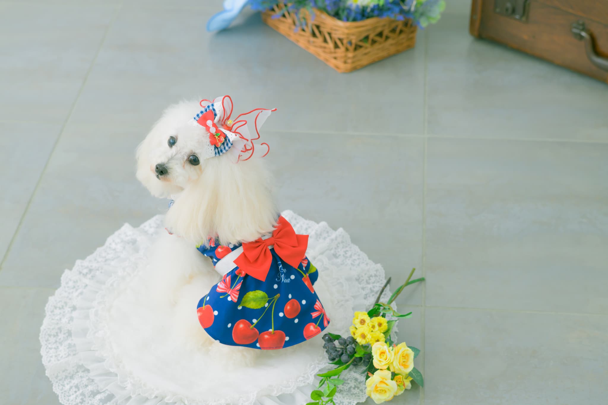 LB-333 ギンガム×チェリーバレッタリボン