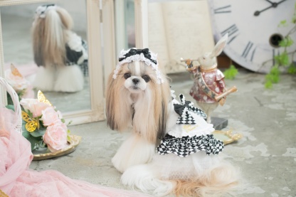 不思議の国のアリスワンピース