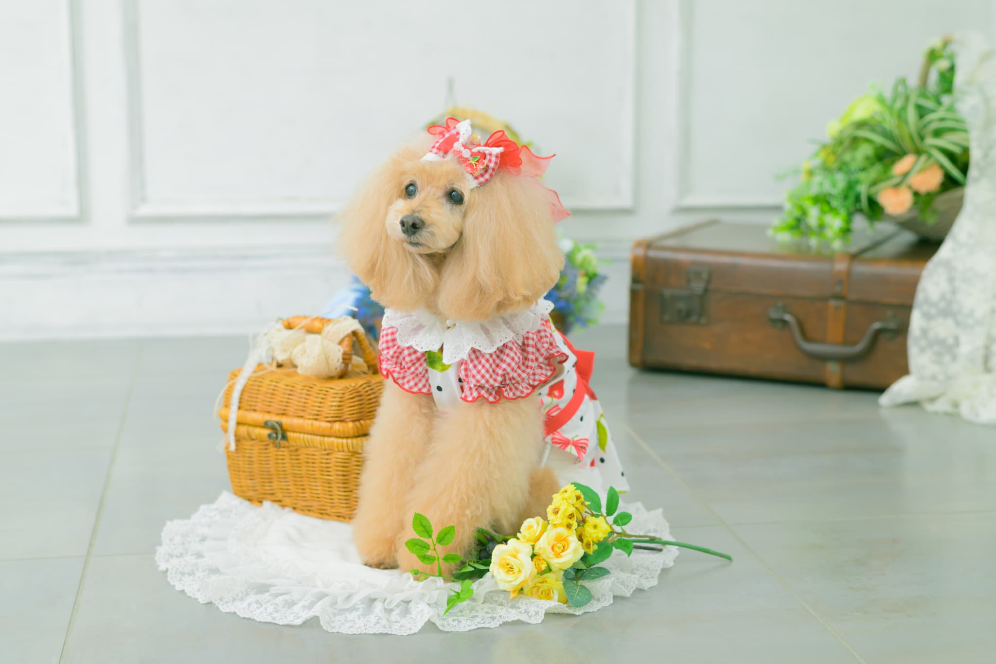 LB-333 ギンガム×チェリーバレッタリボン