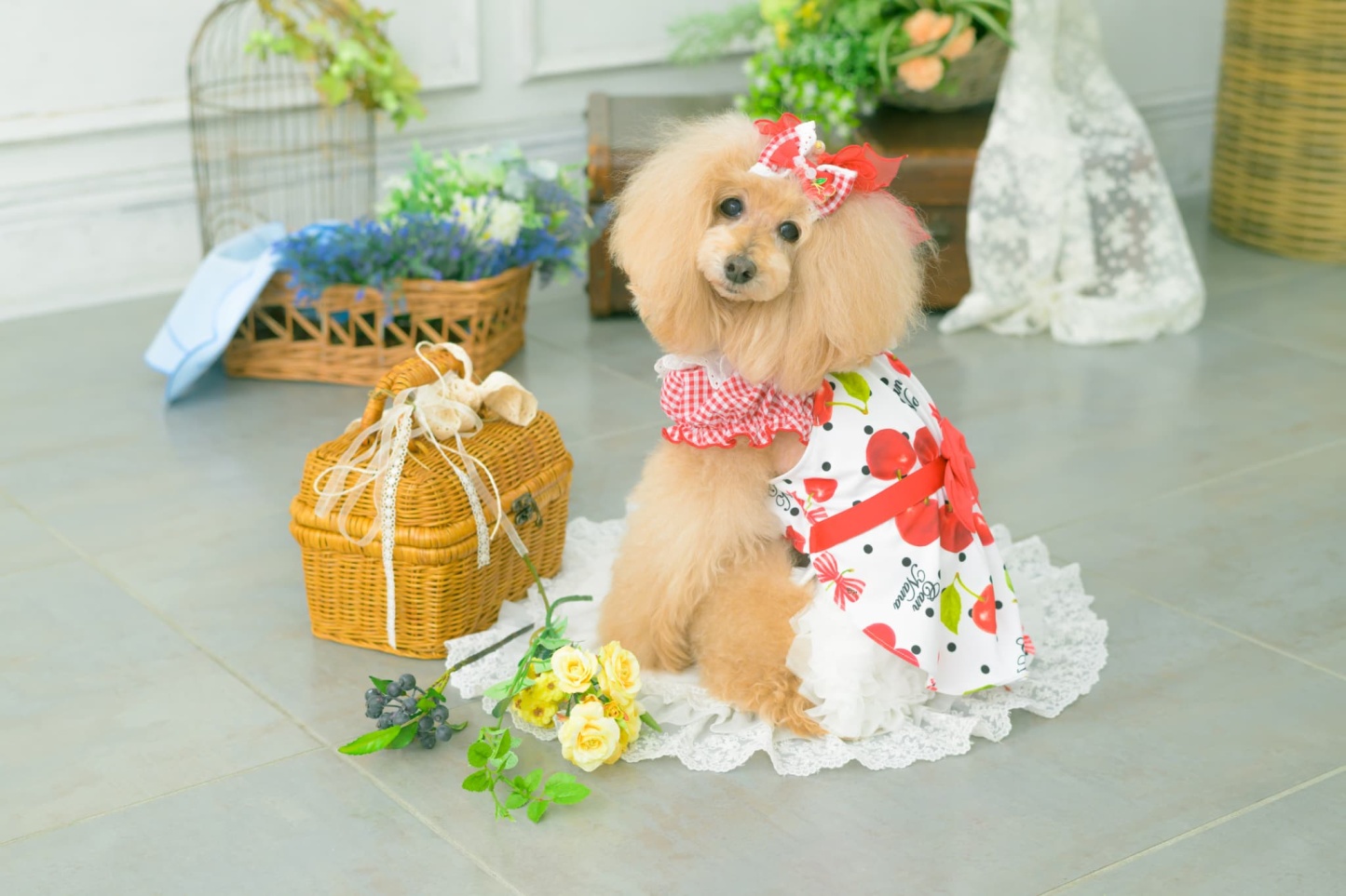 LB-333 ギンガム×チェリーバレッタリボン