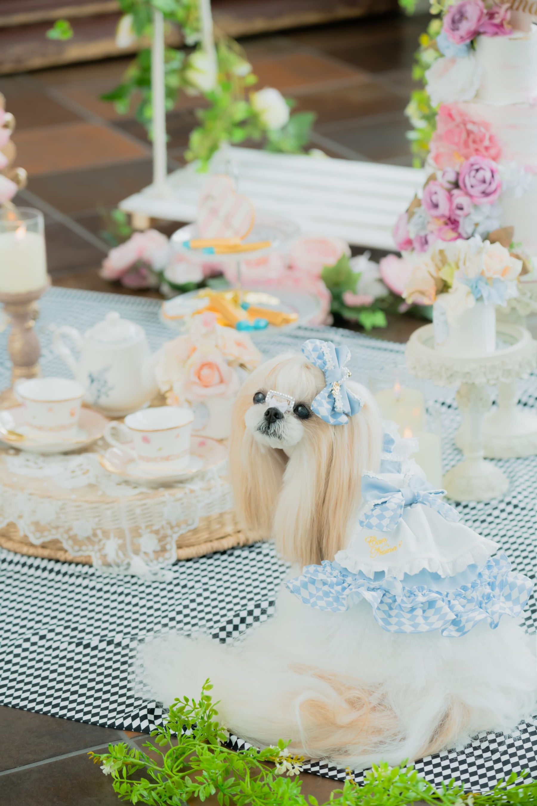 不思議の国のアリスワンピース