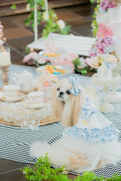 不思議の国のアリスワンピース