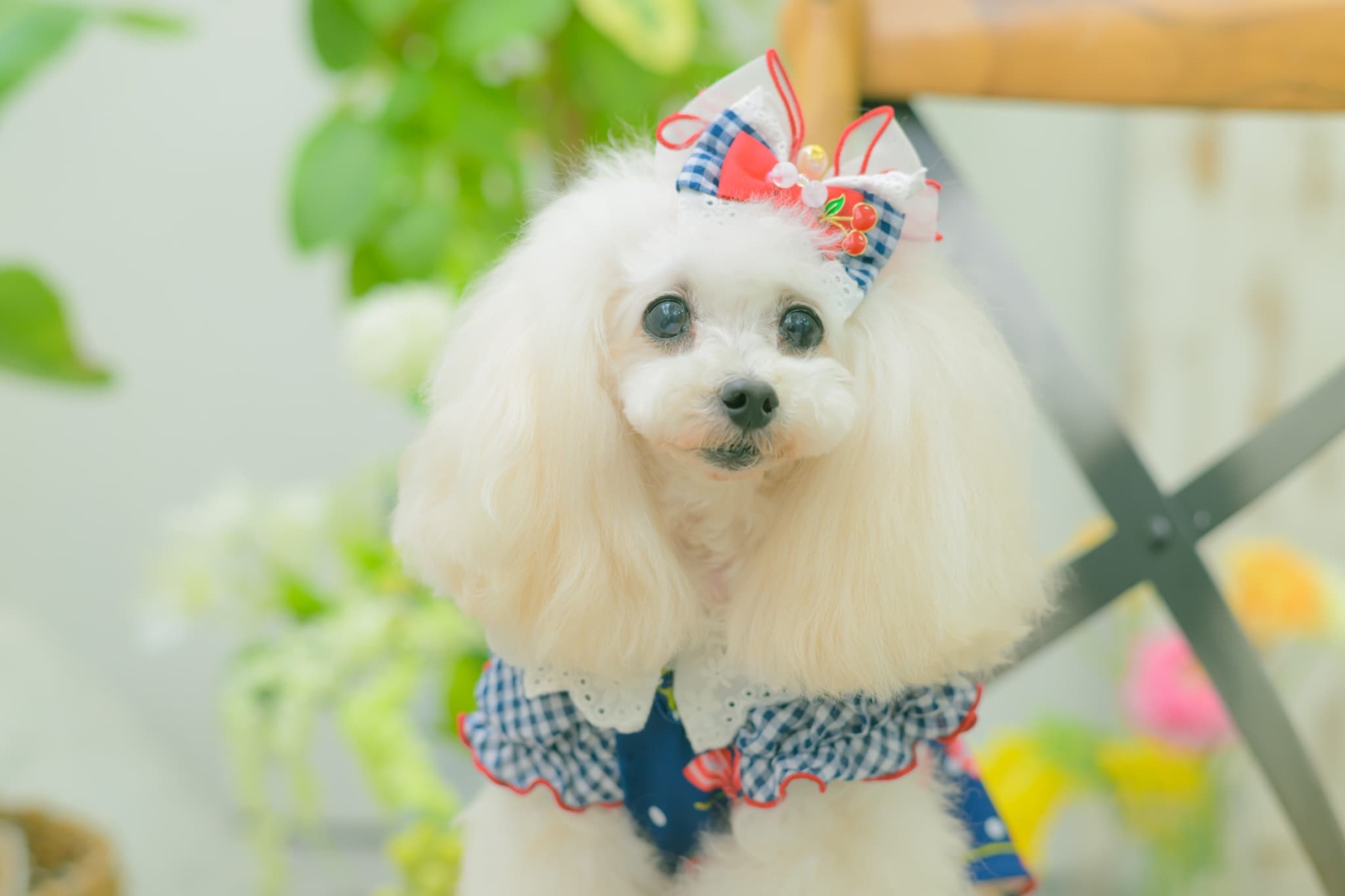 LB-333 ギンガム×チェリーバレッタリボン