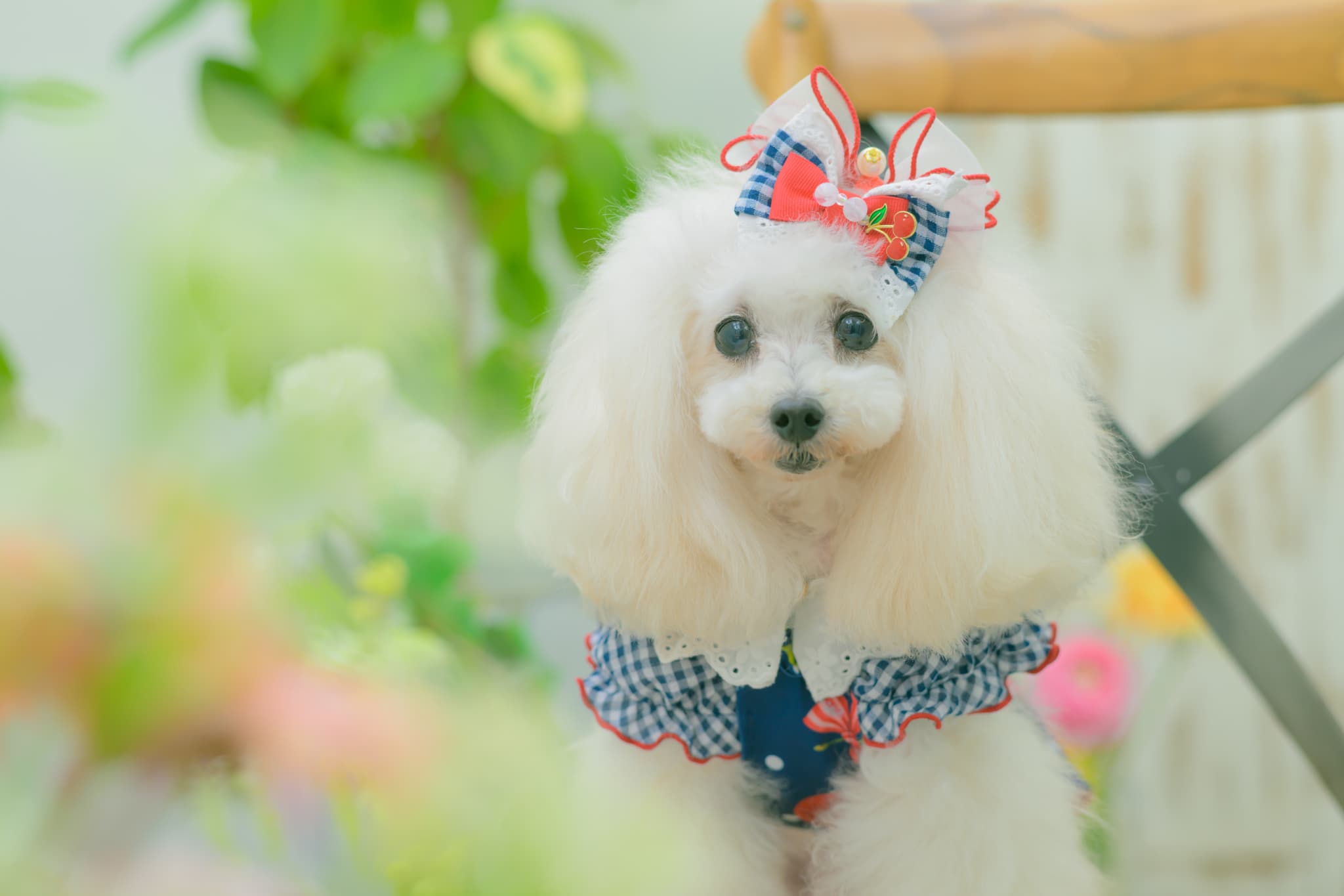 LB-333 ギンガム×チェリーバレッタリボン