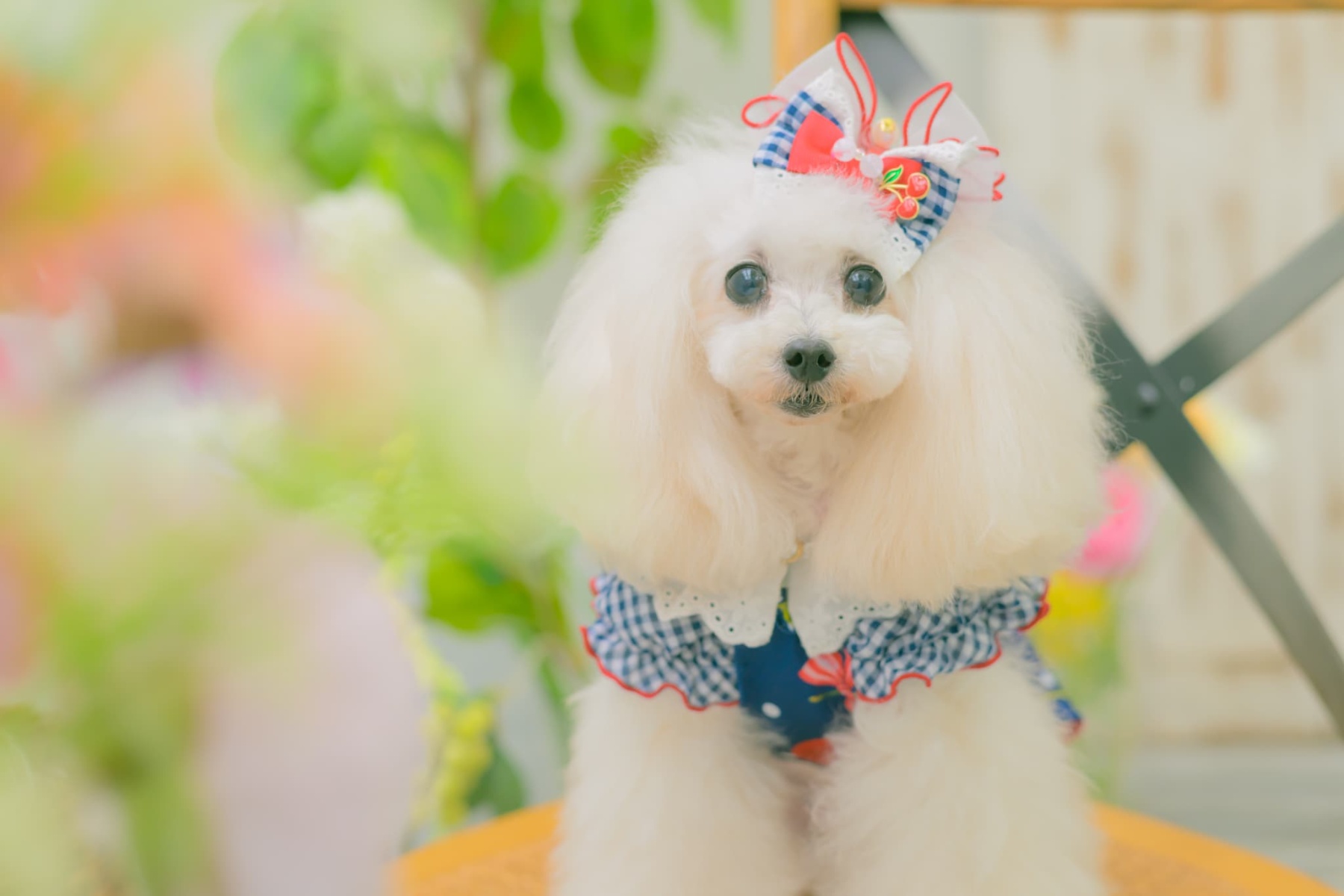 LB-333 ギンガム×チェリーバレッタリボン