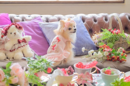 1171くまいちごフリースワンピース